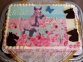 Kindertorte 018